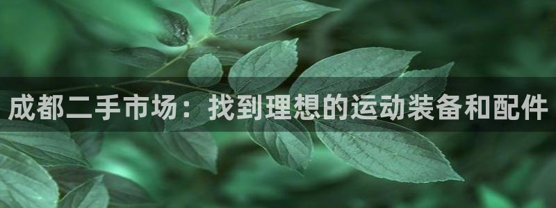 熊猫体育官网下载平台注册要钱吗:成都二手市场:找到理想的运动